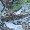 A viewpoint along the Palmateer Point View Trail is at a cliff. This is looking straight down.