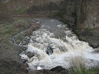 Upper falls of Palouse River.