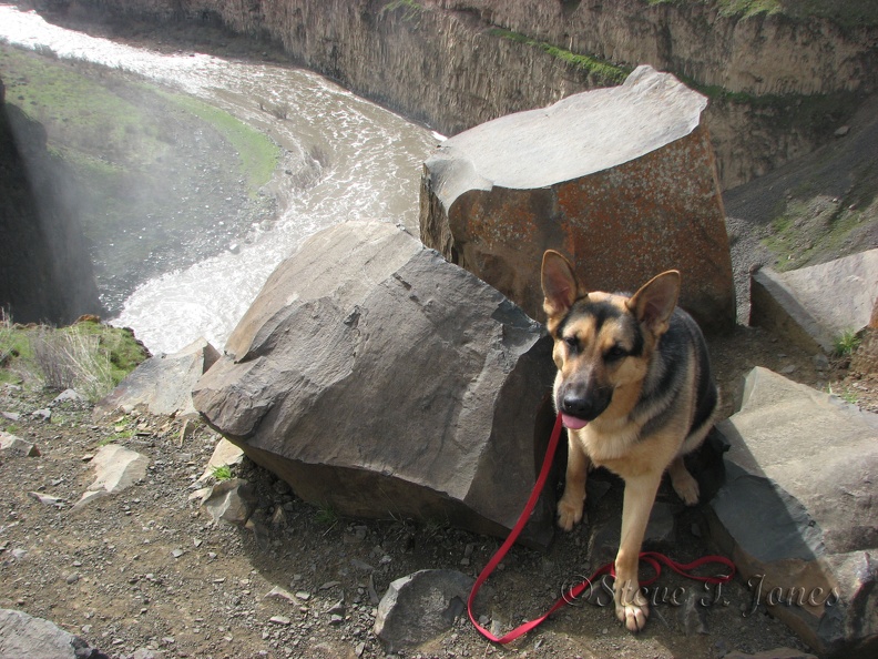 Jasmine waiting near the top of Palouse Falls.