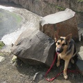 Jasmine waiting near the top of Palouse Falls.