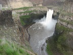 Palouse Falls plunges over a basalt precipice and makes quite a show in the spring. This is from the overlook near the parking lot.