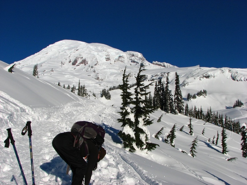 What a rare winter day where the sky is azure blue and the snow titanium white. With no new snow for the past several days, a perfect day for a snowshoe trip.