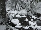 Paradise River flows very clear in the winter. It looks like you could just dip out some water and drink up.