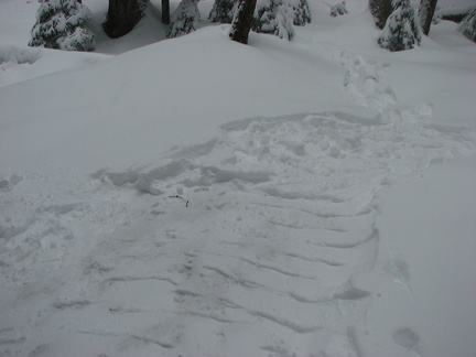 Igloo construction site. The igloo will be built at the top and the bottom is where I'll cut out the snow blocks.