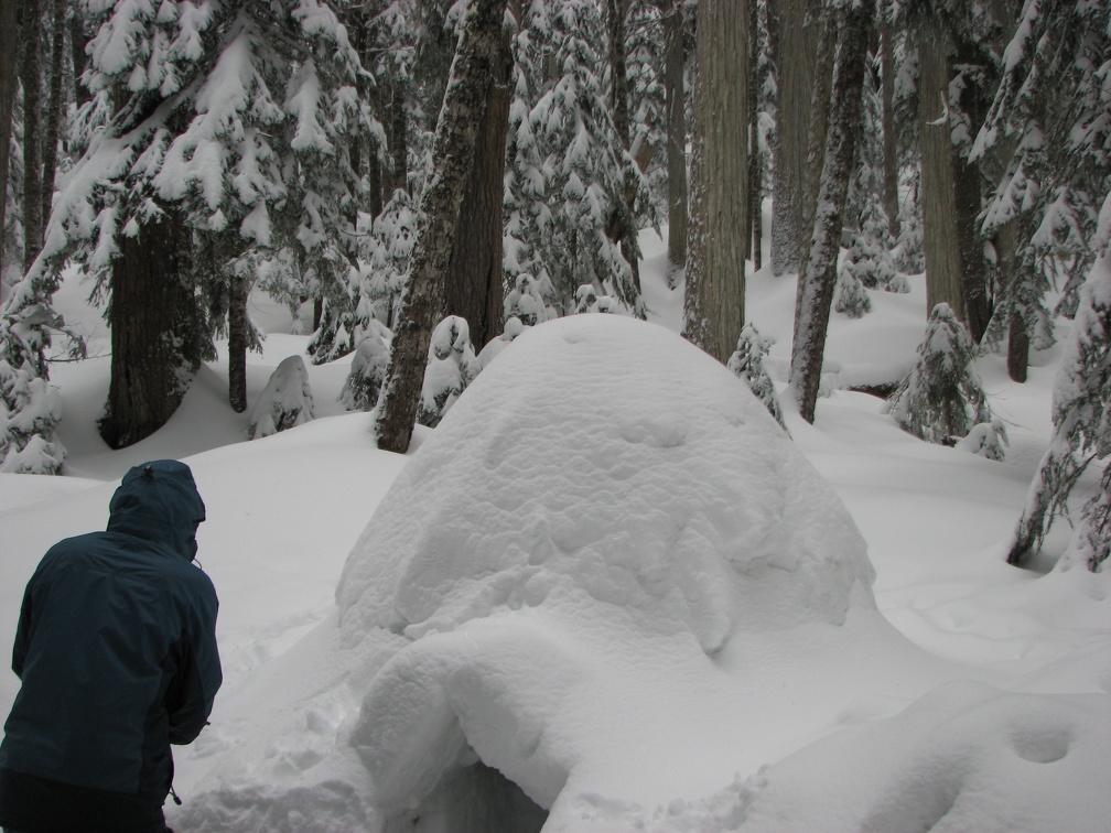 Well, a little snow doesn't matter to an igloo.