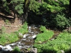 The creek soon flows into the woods and away from the trail.