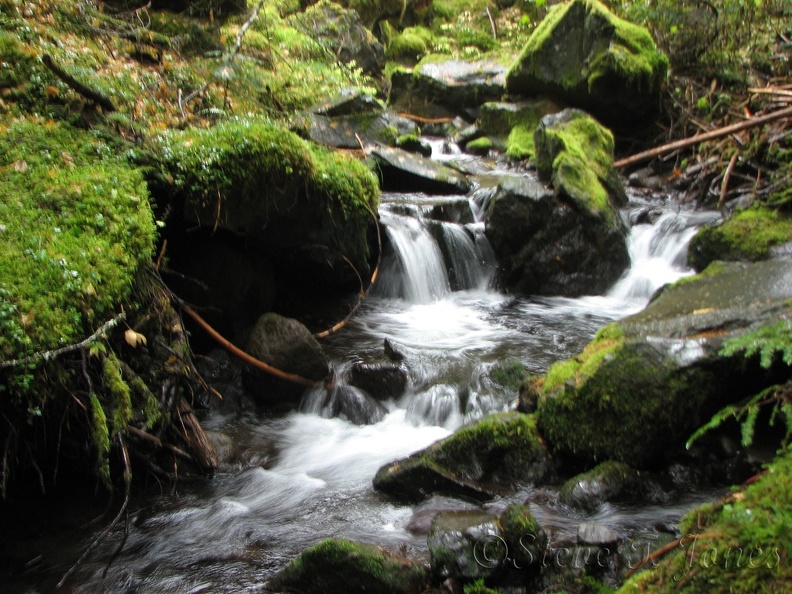 Another pleasant spot along Ramona Creek just before you reach Ramona Falls.