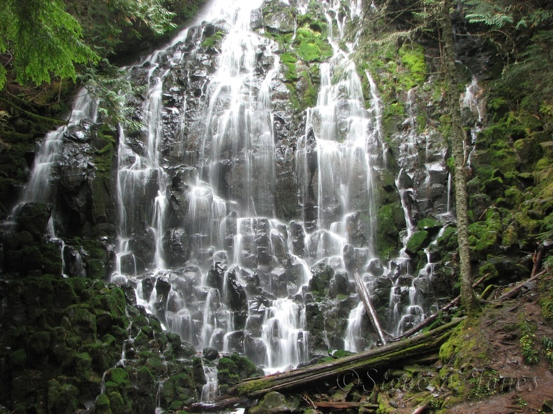 Ramona Falls cascades down a cliff of dark basalt right next to the trail.