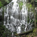 Ramona Falls cascades down a cliff of dark basalt right next to the trail.