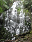 Ramona Falls cascades down a cliff of dark basalt right next to the trail.