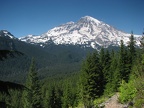 Rampart Ridge Trail and Mt. Rainier