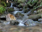 Small stream near the junction of the Wonderland Trail and Rampart Ridge Trail