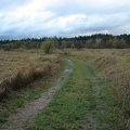 Typical picture of the trail/service road going across the meadows and wetlands on the west side of the Ridgefield National Wildlife Refuge.