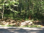 Trailhead picture in 2009. The trail is overgrown and the faint trail can barely be found. 