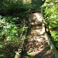 This bridge once carried horses with ease. Now it lies with its back broken from old age and heavy snows.