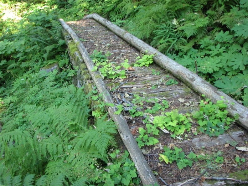 This wood bridge spans a wet area along the trail. The lack of use shows but it is still sturdy.