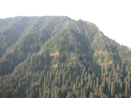 Looking west across Eagle Creek Valley.