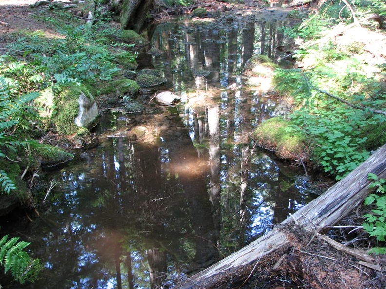 After finishing Ruckel Ridge the trail drops down and crosses Ruckel Creek.