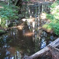 After finishing Ruckel Ridge the trail drops down and crosses Ruckel Creek.