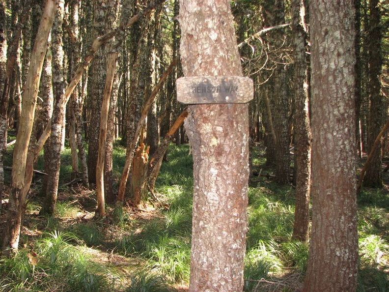 Trail junction at Benson Way showing a typical trail sign.