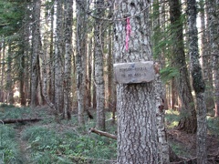 Junction from the Pacific Crest Trail on the Benson Plateau to the Ruckel Creek Trail.