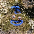 Artistic license along the Saddle Mountain. Maybe it is a Smurf?