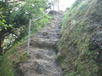Rough cut stairs go to the top of Humbug Mountain.
