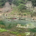 One of the Sag Ponds downhill a bit from the trail.