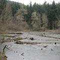 The second Sag Pond that I saw was right next to the trail.