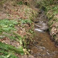 Crabapple Creek has several small tributaries that drain the basin the hike goes through.