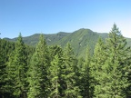 A break in the Douglas Fir trees provides a view of the surrounding forest along the Salmon Butte Trail.