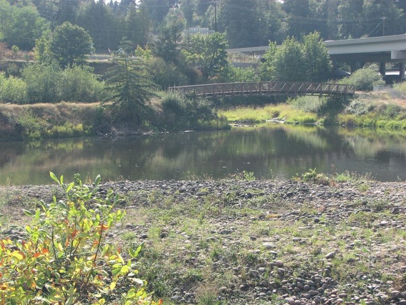 Pond east of Klineline Pond. This photo is from the eastern park boundary looking southwest towards I-5.