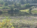 Pond east of Klineline Pond. This photo is from the eastern park boundary looking southwest towards I-5.