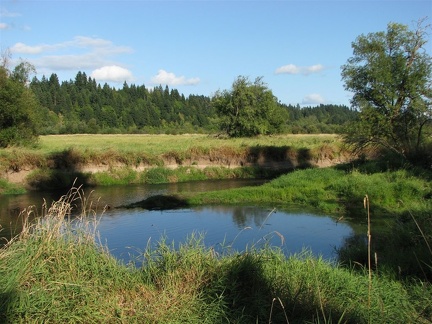 Salmon Creek along the Salmon Creek Trail.