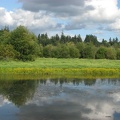 Ponds along the Salmon Creek Trail.