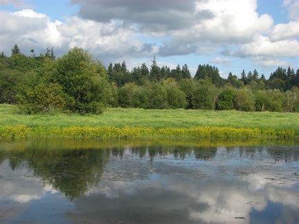 Ponds along the Salmon Creek Trail.