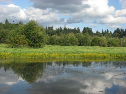 Ponds along the Salmon Creek Trail.