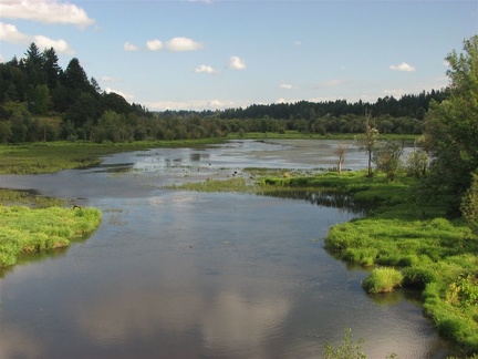 Salmon Creek along the Salmon Creek Trail.