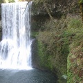 One of the two waterfalls in Silver Falls State Park that you can walk behind.