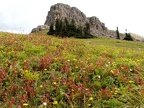 Trail 180 to Silver Star Mountain, WA