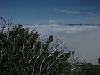 Mt. St. Helens and marine cloud layer