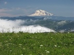 Mt. Adams