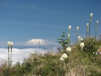 Mt. St. Helens from Silver Star Mountain