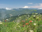 Mt. Adams from Silver Star trail