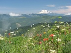 Mt. Adams from Silver Star trail