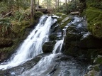 Cross a small bridge across a tributary to Siouxon Creek and enjoy the cool pool above the falls.