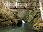 Log bridge across Siouxon Creek near the upper falls.