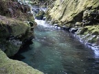 Inviting emerald pool on Siouxon Creek above the log bridge.