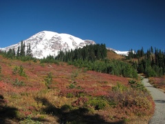 Fall colors with the Skyline trail on the right.