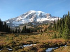 Mt. Rainier from the Skyline Trail in the fall.